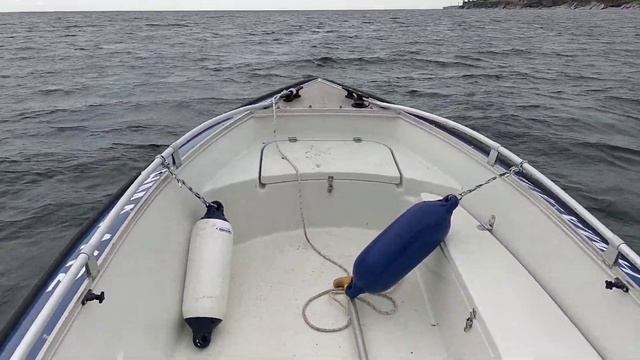 SilverFox DC485 - Honda BF50A смотреть онлайн