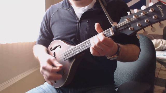 Eddie Vedder - Rise (Mandolin Cover) смотреть онлайн