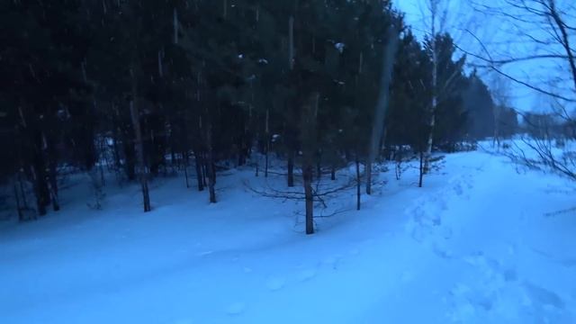 ЖИЗНЬ В ДЕРЕВНЕ В ДАЛИ ОТ ГОРОДА. В ЗИМНЕМ ЛЕСУ С СОБАКОЙ. ГДЕ ПРОПАДАЛ? смотреть онлайн