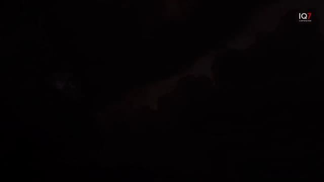 FILM BINATANG BUAS PALING MENEGANGKAN - Alur Cerita Film смотреть онлайн