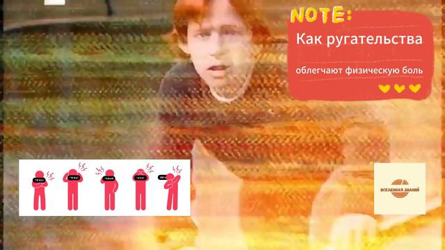 039 как ругательства облегчают боль смотреть онлайн