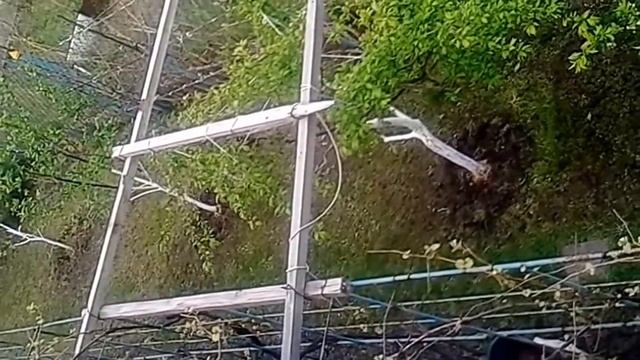 ДАЧКА 5Сот-ОК первый обзор участка - приглашаю! смотреть онлайн