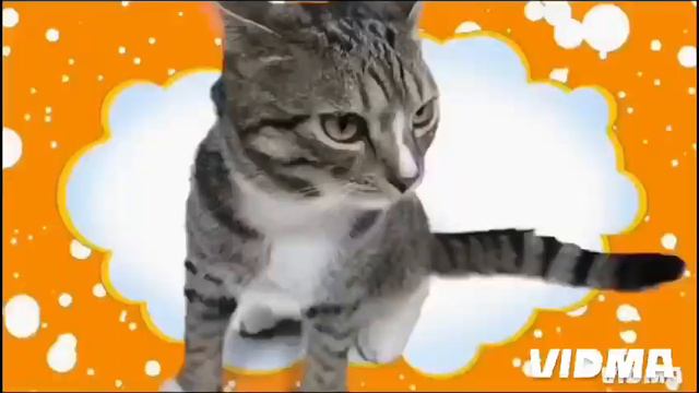 Хохотуки !!! ЛЕО ПОЕТ ПЕСЕНКИ!!! !