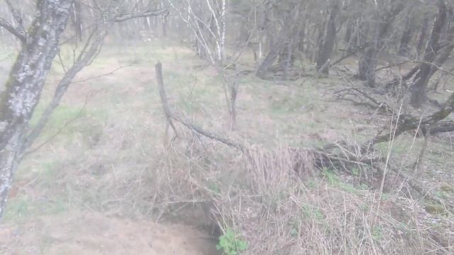 Какое - то древнее поселение посреди леса... смотреть онлайн