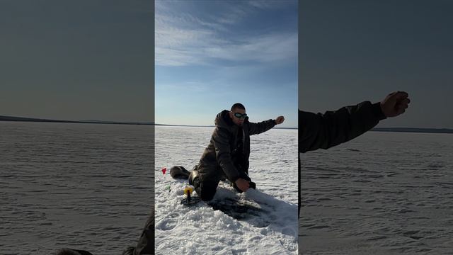 МОЙ ПЕРВЫЙ ТРОФЕЙ! ИСКРЕННИЕ ЭМОЦИИ! #забайкальскийкрай #рыбалка #трофей #щука #шакша смотреть онлайн