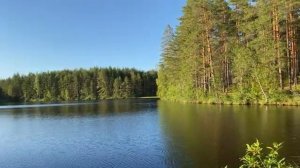 Покатушка на Альфе | Одиночный мото поход на рыбалку | Походный кофе |