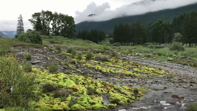 Горный Алтай 2020 - тизер смотреть онлайн