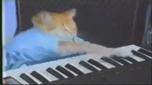the cat plays the piano 10 hours | кот играет на пианино 10 часов| Keyboard Cat смотреть онлайн