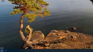 Почему не отключается режим в самолете на Windows 11.Выключается и включается в самолете