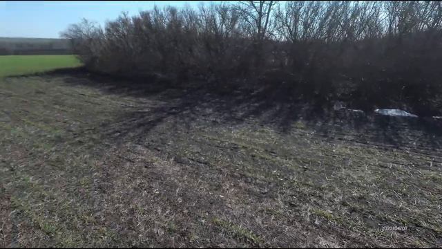 Подкормка озимой пшеницы 2022г.