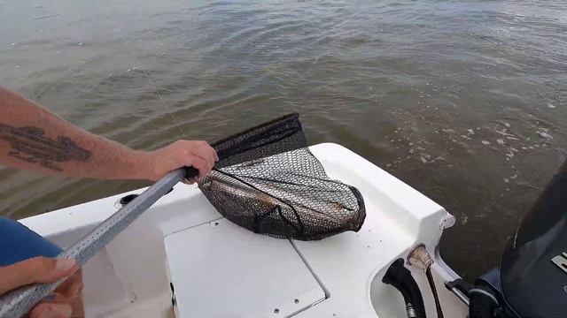 bull REDFISH in new waters смотреть онлайн