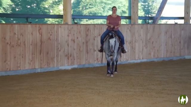 KURS TUTTLINGEN | Durchhausen | Wide Meadow Stable смотреть онлайн