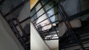 Приступ эпилепсии у чихуа