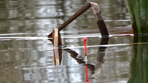 Рыбалка на карася в ноябре на удочку с берега