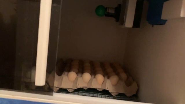 Хранение инкубационного яйца смотреть онлайн