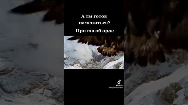 А мы можем как орёл?, проявить силу воли и желание изменившись жить дальше. смотреть онлайн