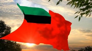 Знамя и марш Отдельной Красной Армии Донбасса Banner and march of the Red Army of Donbass