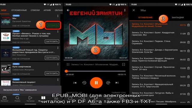 Скачивание книг с ЛитРес смотреть онлайн