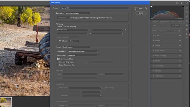 Photoshop 08M - Working with RAW Files смотреть онлайн