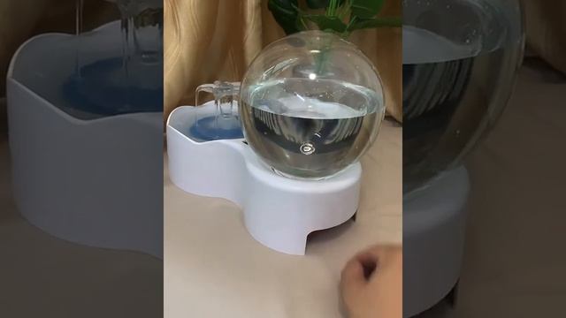 videoplayback 2 смотреть онлайн