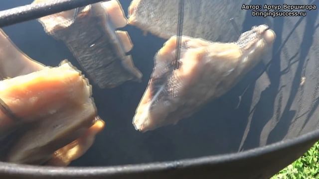 Горячее копчение рыбы [видео рецепт] смотреть онлайн