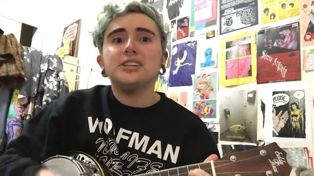 Boys Will Be Bugs // Banjolele Cover смотреть онлайн