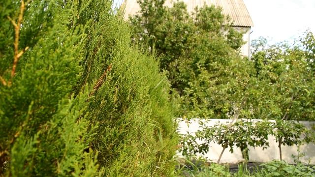 AL-KO GS 7.2 LI Аккумуляторные ножницы + кусторез смотреть онлайн