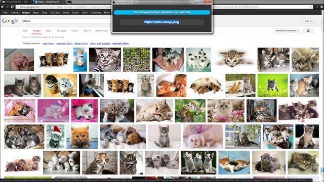 picBox Extension смотреть онлайн