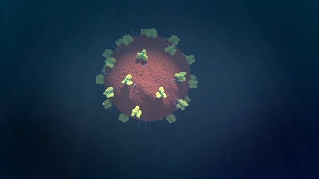 Viral Entry Process Of HIV Virus