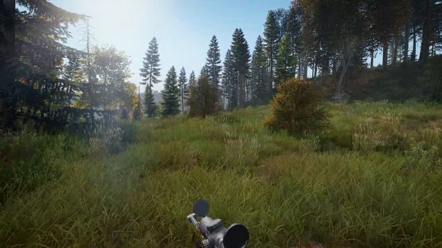 Borealis DayZ Trailer смотреть онлайн