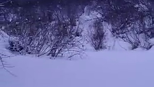 Мотобуксировщик "МУЖИК" сквозь воду и глубокий снег смотреть онлайн