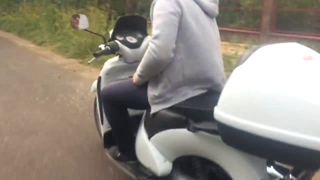 Ровер і скутер смотреть онлайн