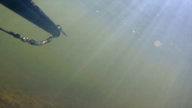 Вылазка Владивостокских подвохов на реку Уссури. смотреть онлайн