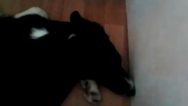 Том вернулся он будет с нами смотреть онлайн