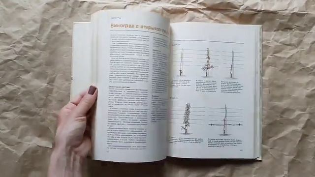 Обрезка растений. Розы и др. декоративные кустарники, плодовые культуры. Автор - Брикелл К. смотреть онлайн