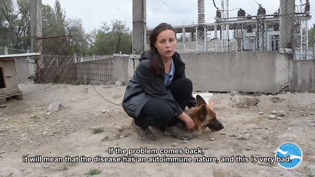 Еженедельник Фонда от 26 апреля 2015 года смотреть онлайн