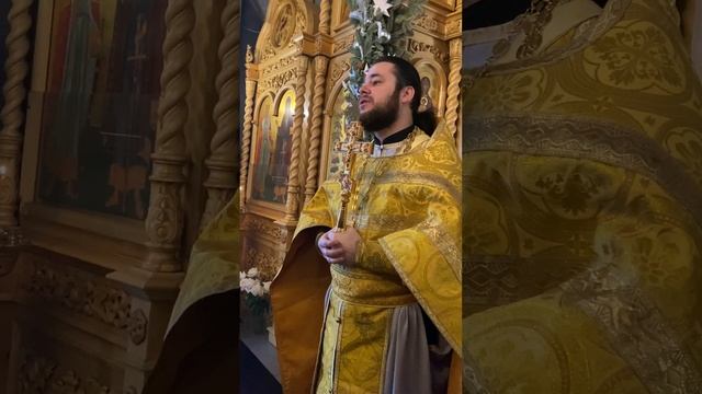 Как одинокое сердце Закхея обрело настоящее счастье! смотреть онлайн