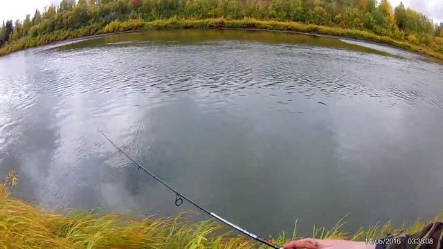 лемью130918язь3 смотреть онлайн