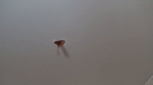 Ремонт натяжного потолка своими руками. Просто! Быстро!! Красиво!!!