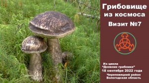 Грибовище из космоса. Визит №7. «Дневник грибника» 18 сентября 2022 года.