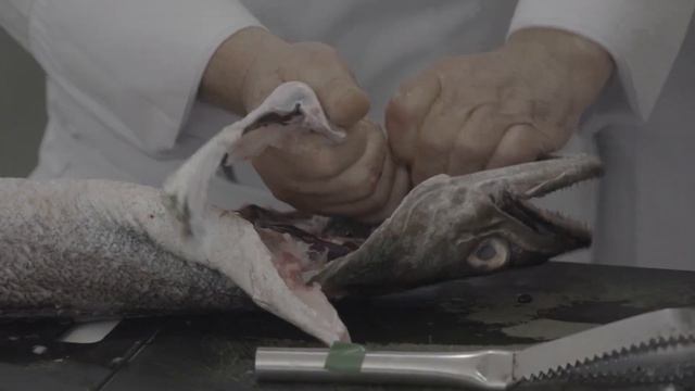 APRENDE A CORTAR verduras, pescados y aves en esta clase con los aspirantes смотреть онлайн
