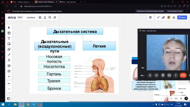 Значение дыхания смотреть онлайн