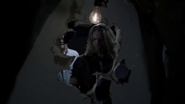 Born Wild (2015) Trailer смотреть онлайн
