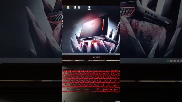 Игровой ноутбук MSI GL72M смотреть онлайн