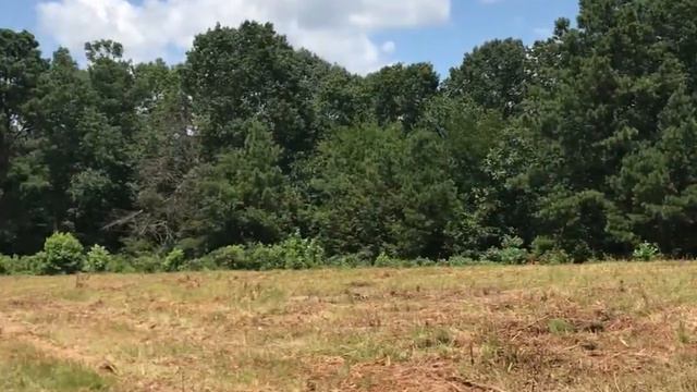 21 Acre Riverfront Pasture Alabama Land For Sale смотреть онлайн