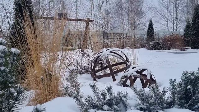 ЧТО ПОСАДИТЬ, чтобы сделать сад красивым ЗИМОЙ. смотреть онлайн