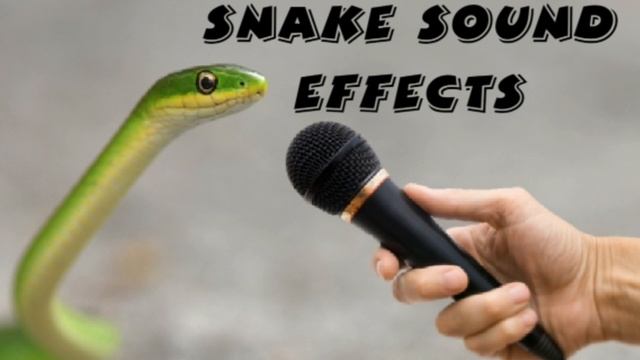 snake sound real l snake hiss sound effects all sound смотреть онлайн