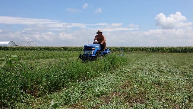 Сінокіс в 2019 році. смотреть онлайн