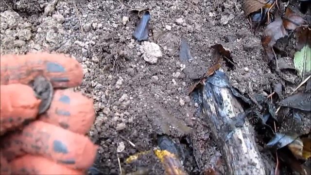 Коп в старом лесу первый снег и малость монеток за несколько выходов смотреть онлайн