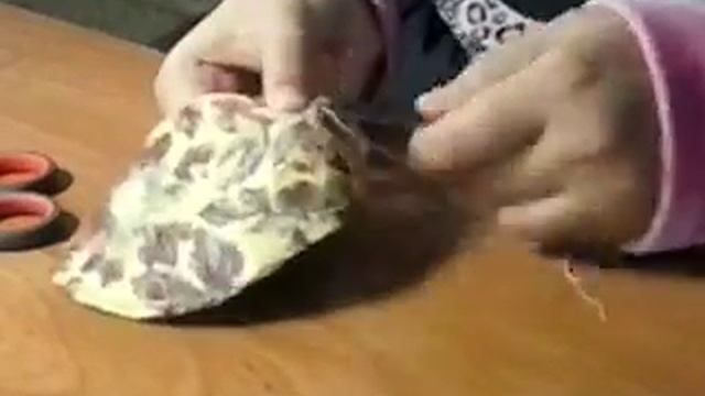 Как сшить рыбку часть 2 смотреть онлайн